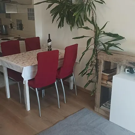 Apartament Dragica 1 *